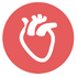  Health Tourism